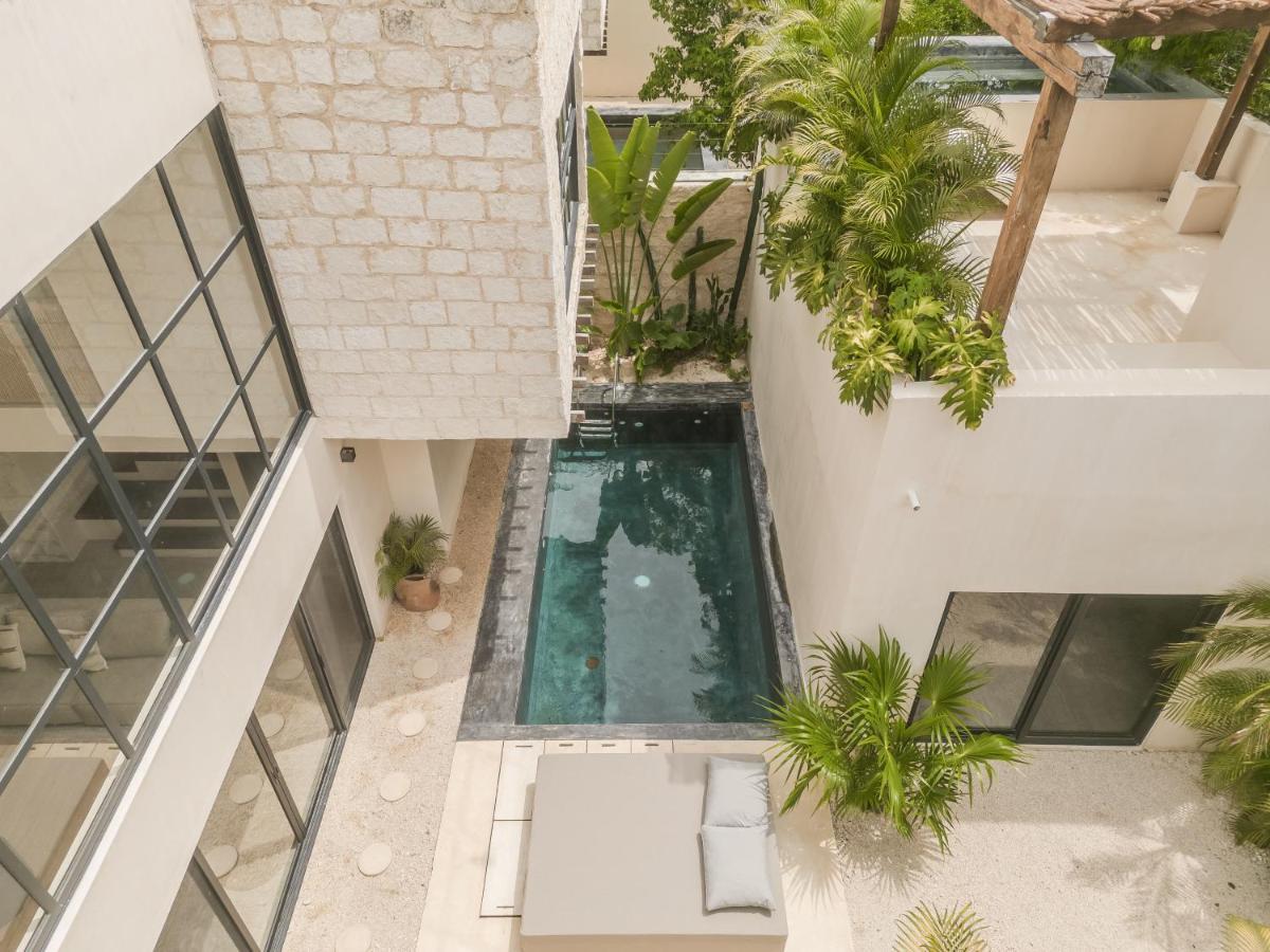 New Aura Jungle Getaway Villa Tulum Exteriör bild