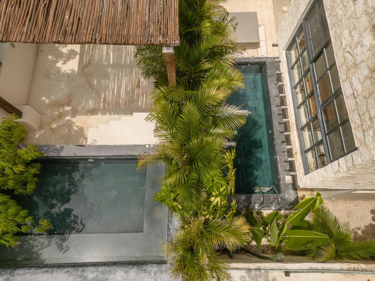 New Aura Jungle Getaway Villa Tulum Exteriör bild