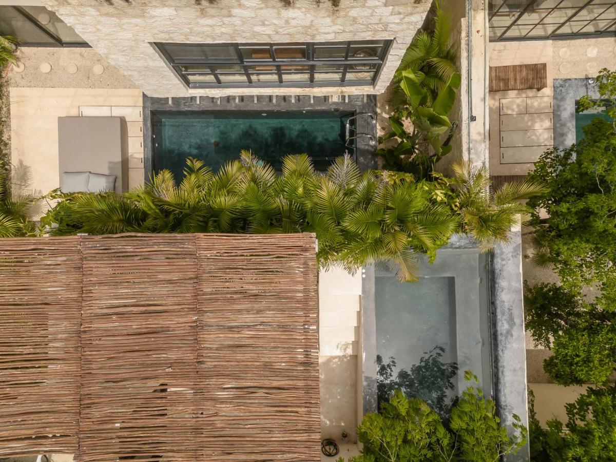 New Aura Jungle Getaway Villa Tulum Exteriör bild