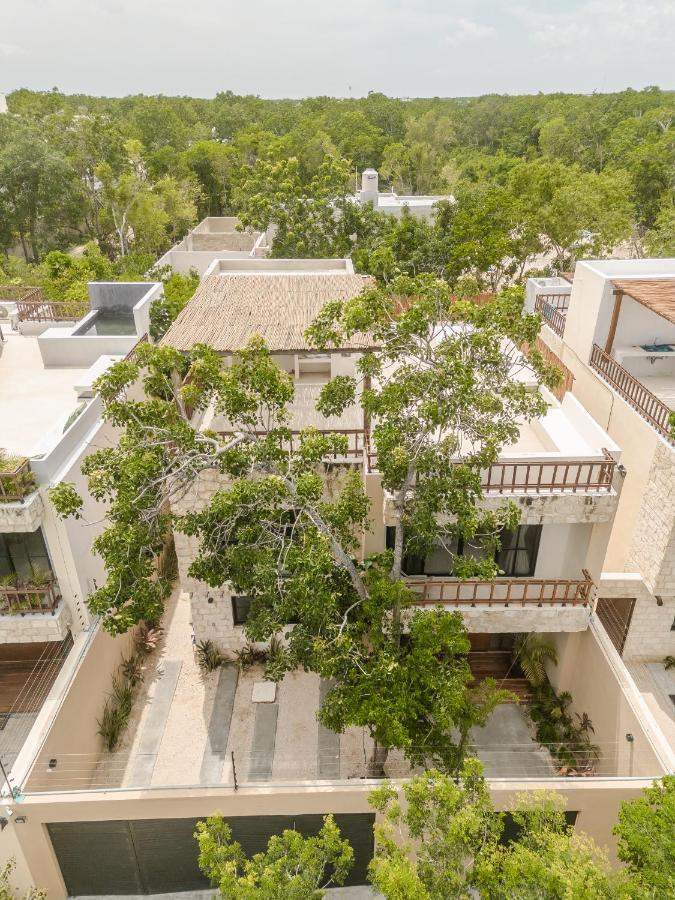 New Aura Jungle Getaway Villa Tulum Exteriör bild